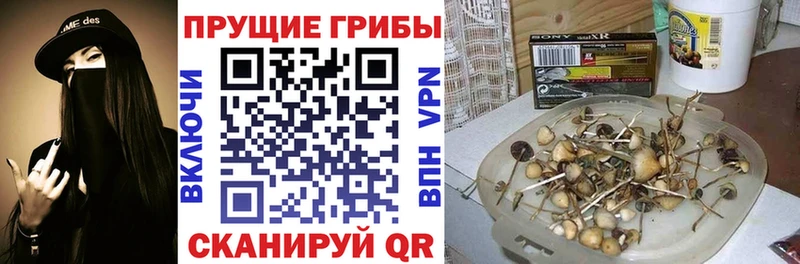 Галлюциногенные грибы мухоморы  Туран 